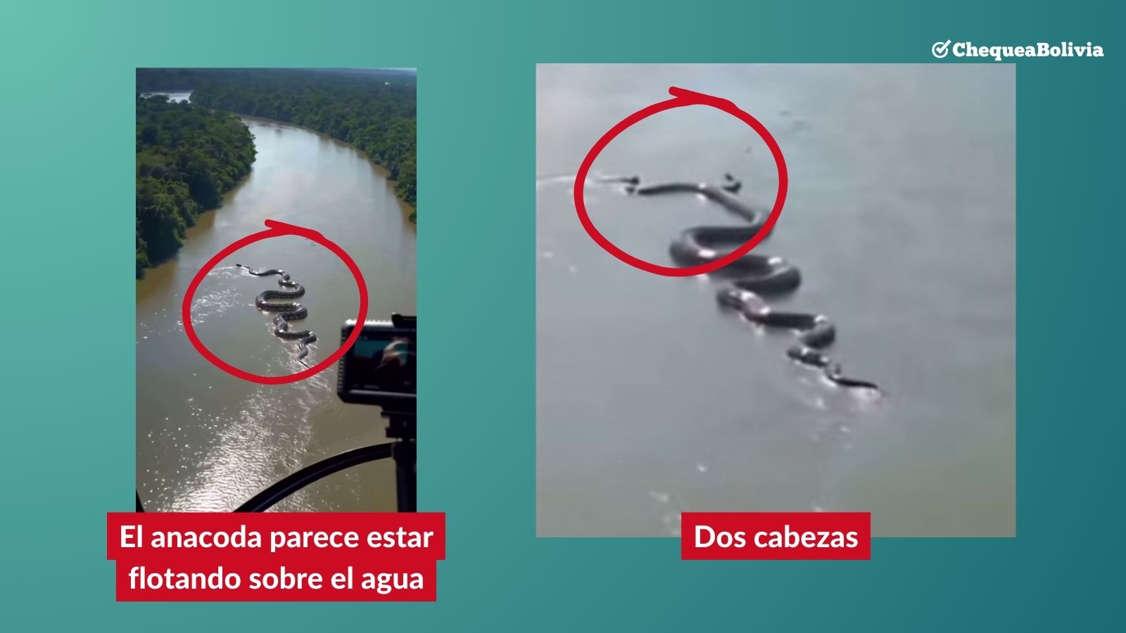 Fotogramas del video que evidencian que el contenido fue generado artificialmente.