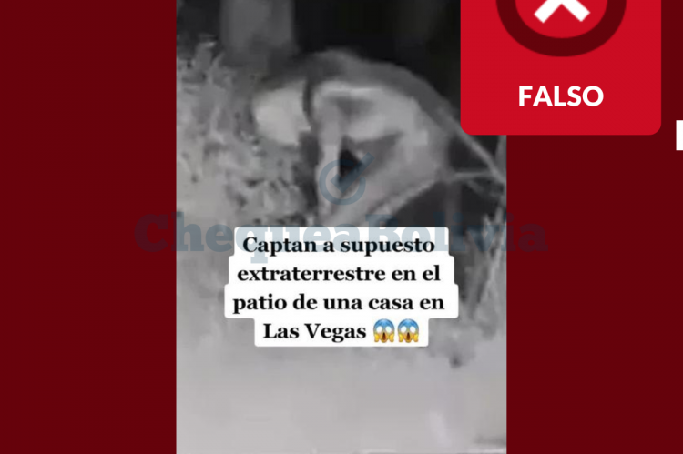 Miniatura de uno de los videos de TikTok que difunden erróneamente que se trata de un extraterrestre.