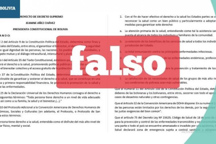 Una captura de las primeras páginas del documento que circula en redes sociales. 