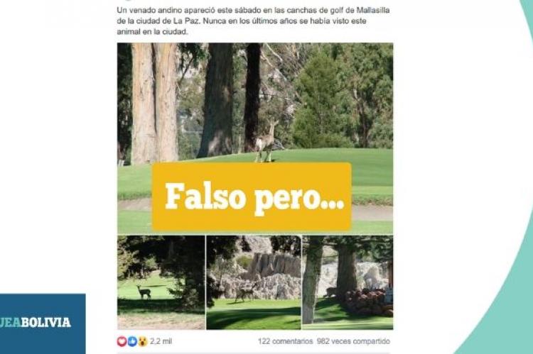 Una captura de la información que circula en redes sociales. 