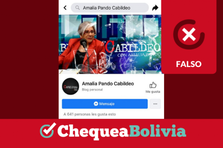 Captura de la página de Facebook falsificada “Amalia Pando Cabildeo”.