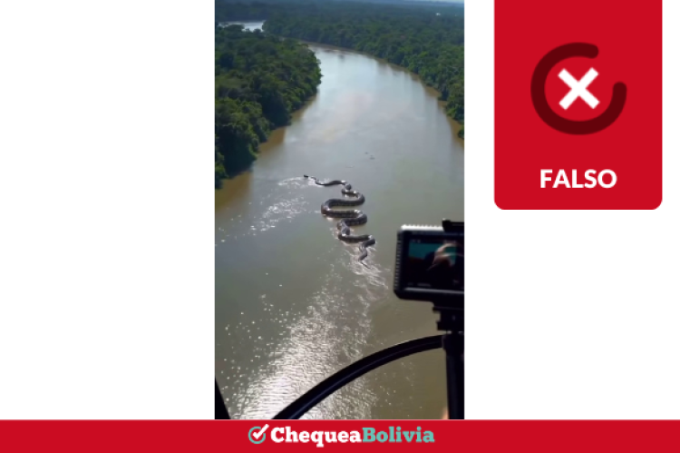 Fotograma del video falso sobre un anaconda supuestamente descubierto en el Amazonas.