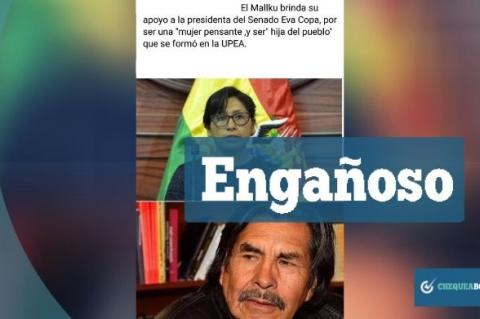 Captura de la publicación que se comparte y contiene información engañosa. 