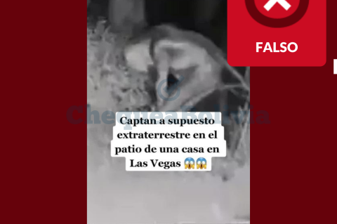 Miniatura de uno de los videos de TikTok que difunden erróneamente que se trata de un extraterrestre.