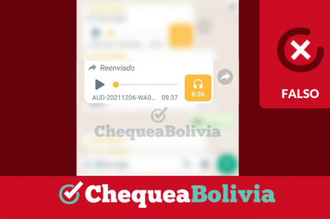 El audio que circula en WhatsApp. 
